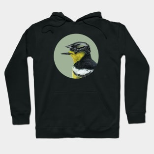 Citrine wagtail Hoodie